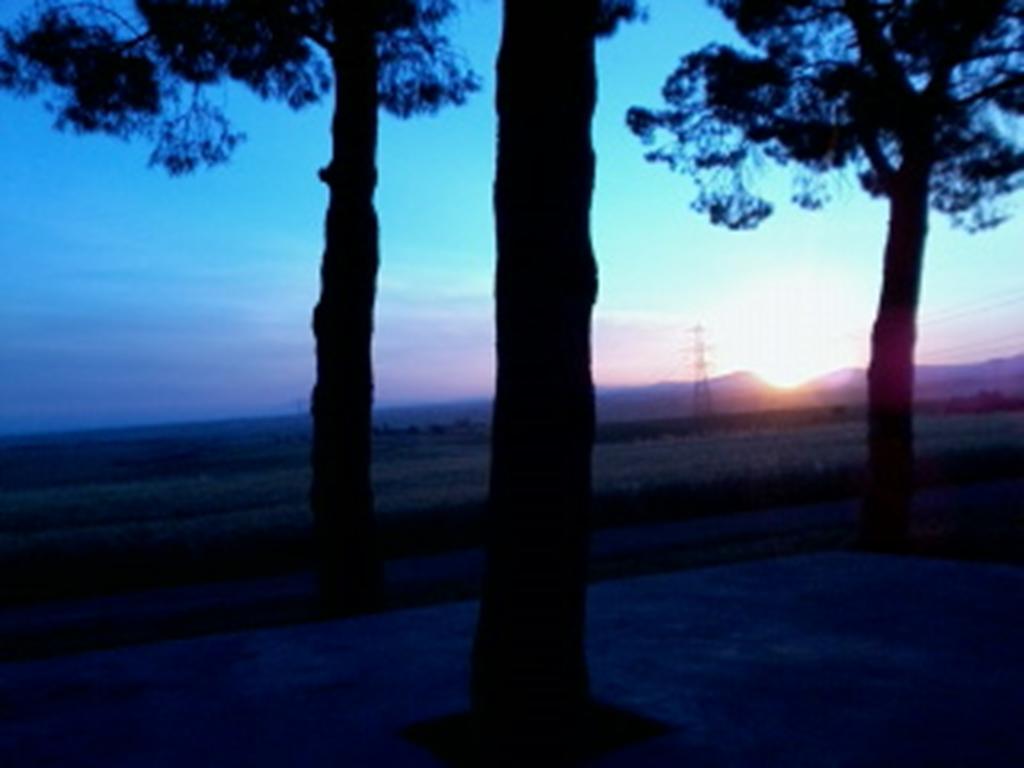 Agriturismo Toscanella Montebello Zewnętrze zdjęcie